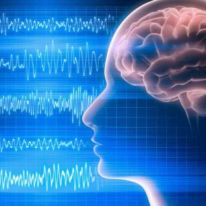elettroencefalogramma - cervello studiato attraverso l'elettroencefalogramma