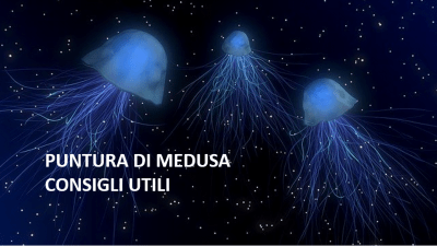 puntura di medusa