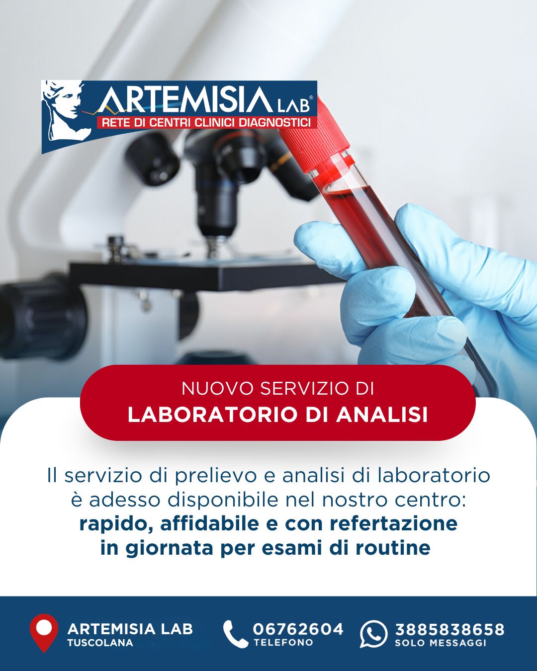 WhatsApp Image 2026-02-17 at 17.18.26