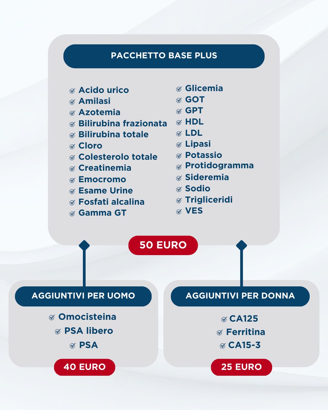 WhatsApp Image 2026-02-17 at 17.18.27 (1)